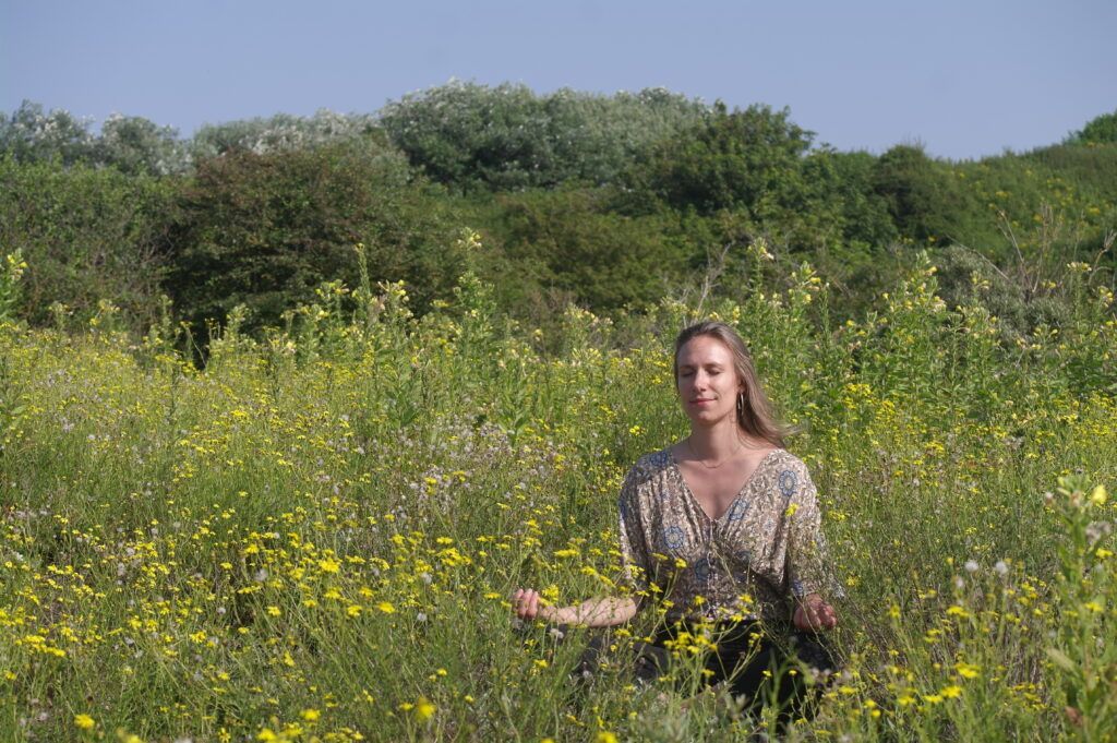 Meditatiehouding