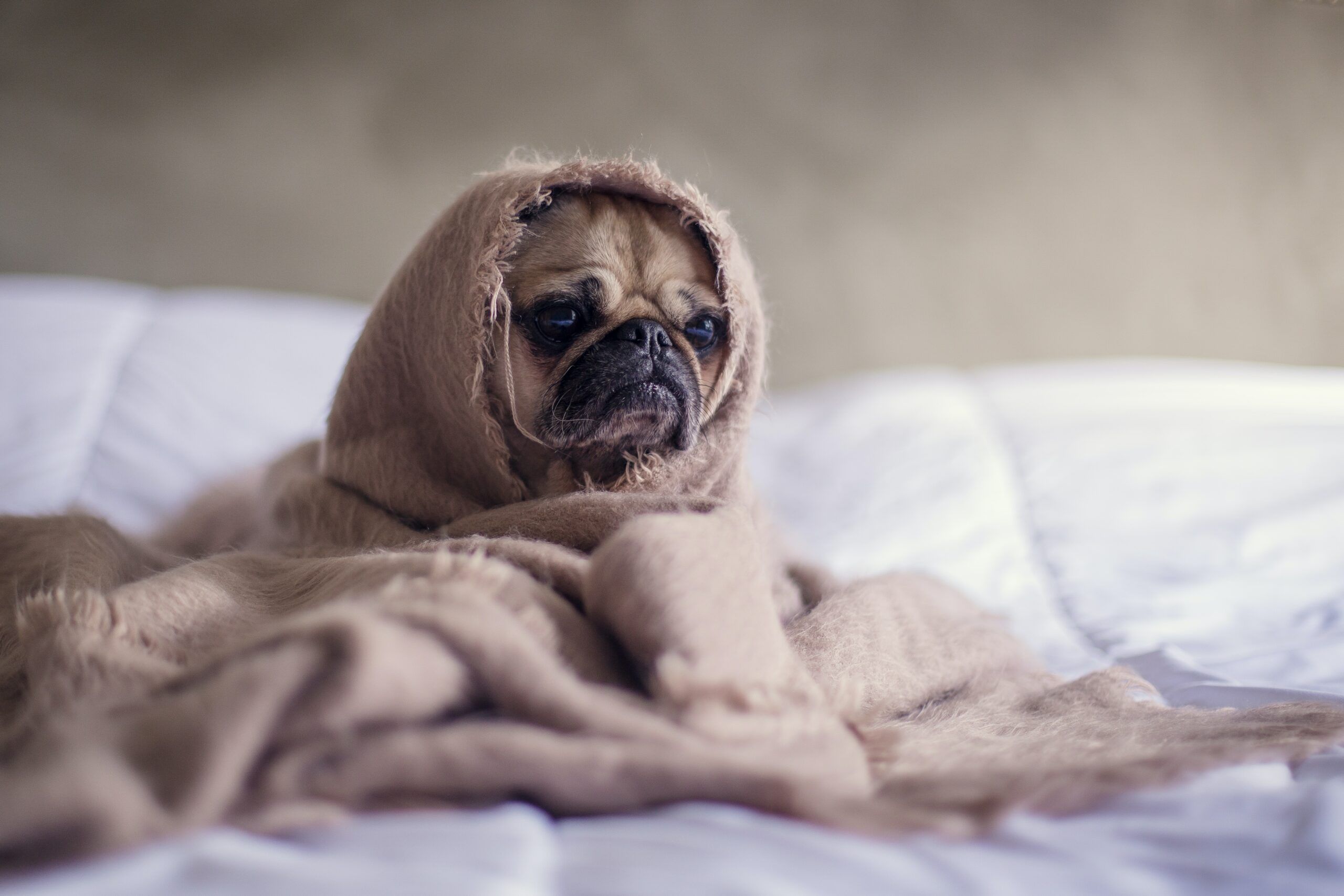 Wakker liggen door onrust in je hoofd? Met deze 5 tips slaap jij de nacht door