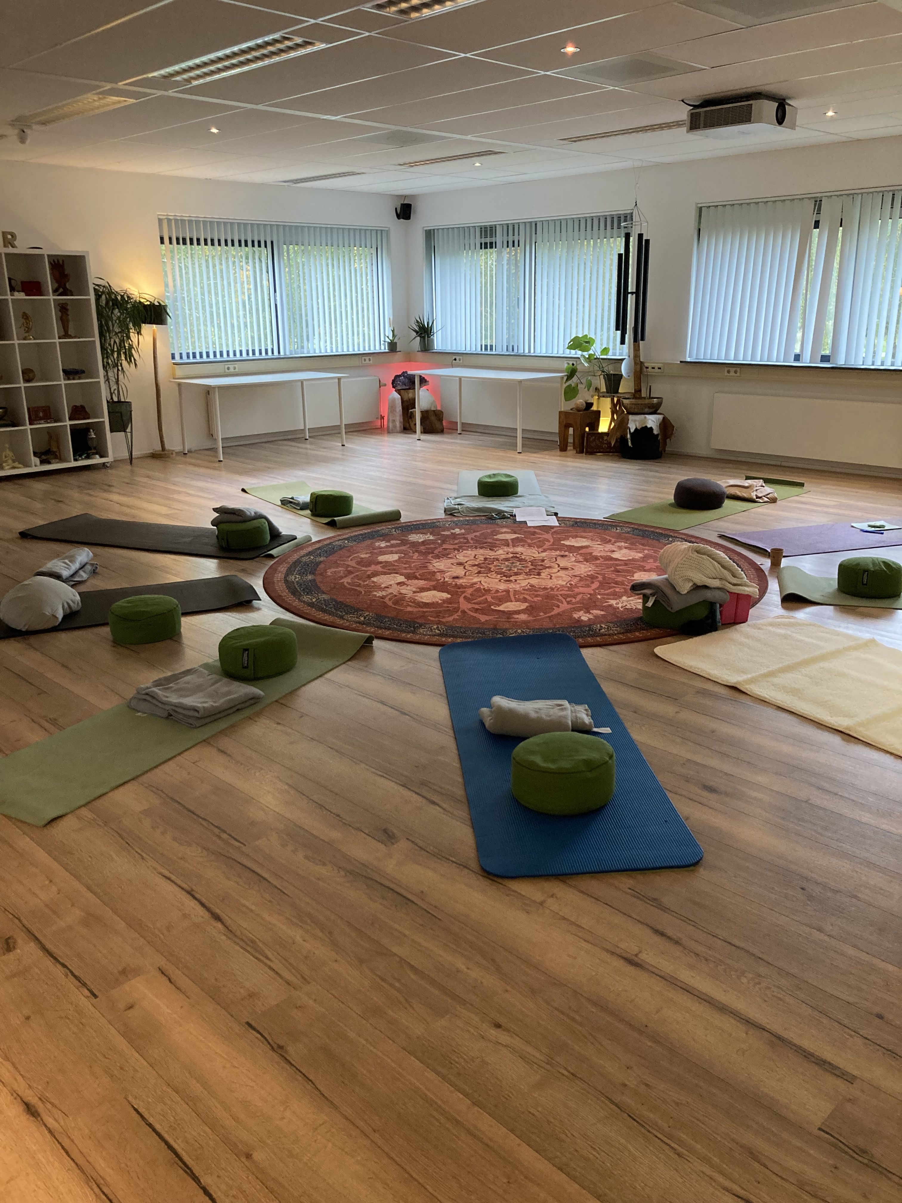 Week 6: Van mindfulness dip tot stiltedag